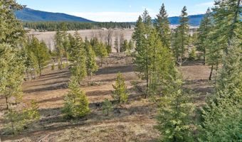 NKA Healing Dr. Lot 2 and Lot 3, Blanchard, ID 83804