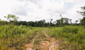 2778 SW Big Creek Dr, Bogue Chitto, MS 39629