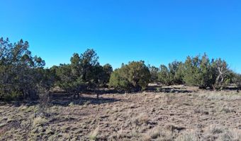 68 N 8171, Concho, AZ 85924