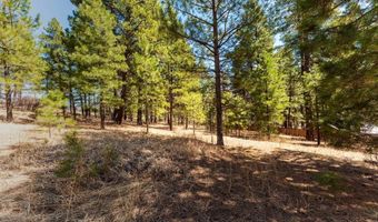 116 Pine Dr, Bayfield, CO 81122