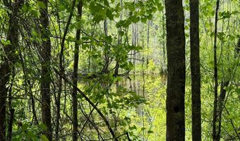 337 Weathers Farm Rd, Bowman, SC 29018
