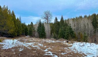 NNA Holmes Rd, Bonners Ferry, ID 83805