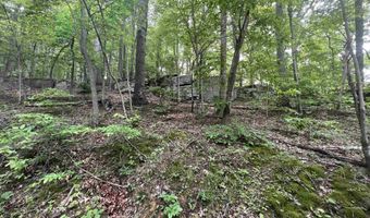 TBD Rock Camp Road, Wallace, WV 26448