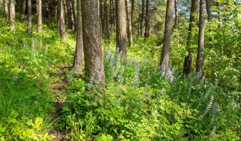 14690 Shore Acres Dr, Bigfork, MT 59911