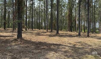 Ronald Sanks Road, Bay Minette, AL 36507
