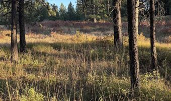 Harlow Ridge Rd - Cloverland Estates 26, Asotin, WA 99402