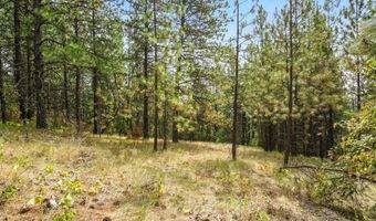 NNA USFS 2550 40 acres, Blanchard, ID 83804