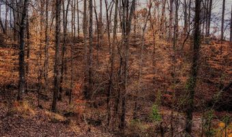 001 Blue Heron Cv, Abbeville, SC 29620