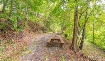 40 Craggy View Ln, Barnardsville, NC 28709
