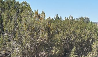 Lot 11 Uphill Trail, Vernon, AZ 85940