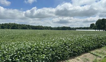 00 Nc N 903, Albertson, NC 28508