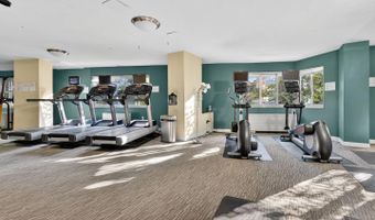 4600 CONNECTICUT Ave NW #223, Washington, DC 20008