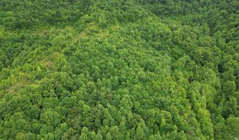 9999 King Fork Rd, Barbourville, KY 40906