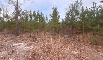 Qbf 12 Nurnberg Dr Road Qbf 12, Batesburg Leesville, SC 29070