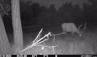 TBD County Road 170, Agate, CO 80101