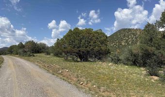 XY Black Dog Road, Silver City, NM 88061