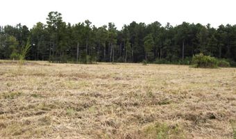 1665 Peyton Ave, Ashdown, AR 71822