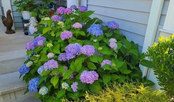 35 Greenside Ln 35, Acton, MA 01720