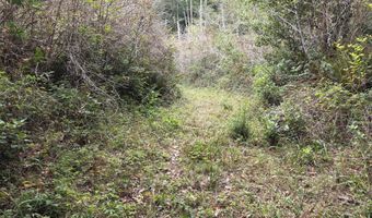 96420 ALDER RIDGE Rd, Brookings, OR 97415