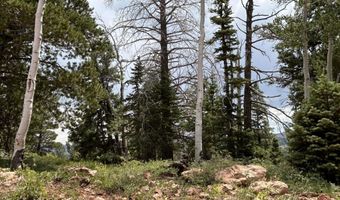 1272 N Aspen Rd, Brian Head, UT 84719