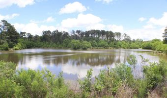 Vine Drive, Brandon, MS 39047