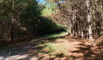 01 Goose Platter Rd, Batesburg, SC 29006