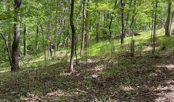 93 Candyland Rd, Bassett, VA 24055