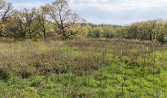 0 County Road 261, Advance, MO 63730