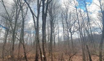 Glade Run Road, Albright, WV 26519