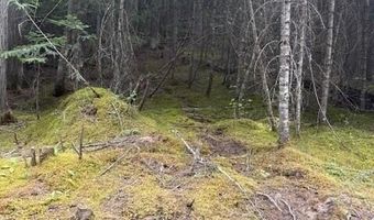 TBD Big Buck Rd, Bayview, ID 83803