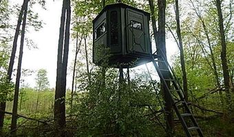 15252 27 Mile Rd, Albion, MI 49224