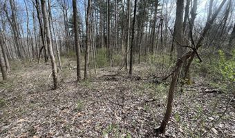 Strouds Run Rd, Athens, OH 45701