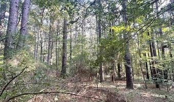 Tbd FM 44 E, De Kalb, TX 75559