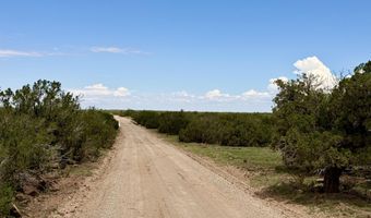 127 Co Rd 8051, Concho, AZ 85924