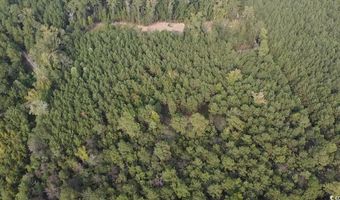 TBD Oglethorpe Dr, Andrews, SC 29510