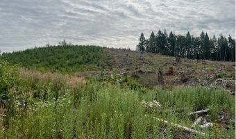 Northrup Creek Rd, Birkenfeld, OR 97016
