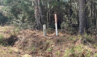 Conecuh River Church Rd, Andalusia, AL 36420