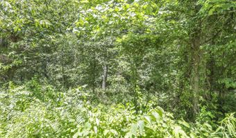 US Hwy 50 W, Albany, OH 45710