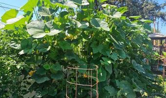 928 BLACK HILLS Ave, Alliance, NE 69301