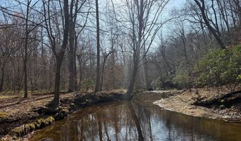 PAYNES POND RD, Arvonia, VA 23004