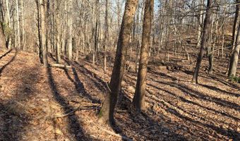 River Oak drive lot 7, Big Sandy, TN 28320