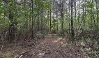 1311 A N Jackson St, Brookhaven, MS 39601