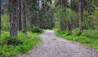22585 Fatty Creek Rd, Bigfork, MT 59911