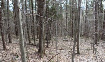 Upper Meehan Road, Bristol, VT 05443
