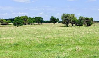TBD 11 acres Fm 1183, Alba, TX 75119