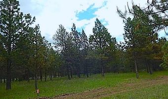 NKA HWY 95, Athol, ID 83801