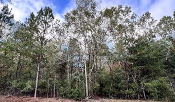 Lot B RIDGE Road, Appling, GA 30802