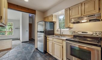 17 Blue Grouse Trl, Blue River, CO 80424