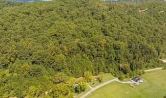 20181 N Fork River Rd, Abingdon, VA 24210