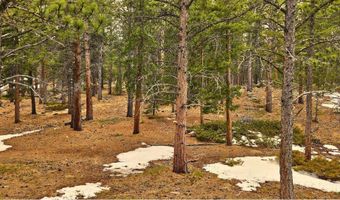 12190 Highway 7, Allenspark, CO 80510